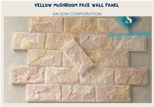 Hot Promotion In December Yellow Mushroom Face