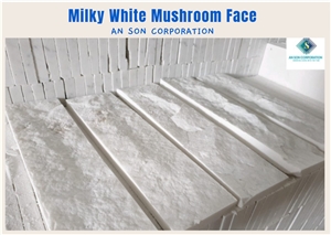 Vietnam Mushroom Face Wall Cladding