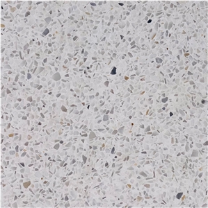 1167 Terrrazzo Agglomerate Tiles & Slabs
