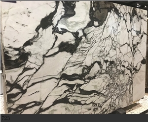 Bianco Milano Marble Panda White Ink In China Stone Market