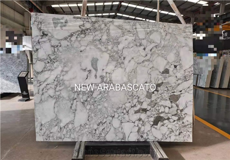 Arabescato Corchia Classico Marble Big Slab