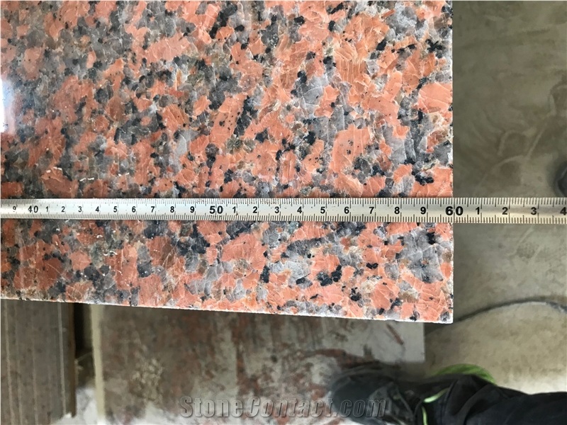Charme Red G562 Granite Polished Tiles