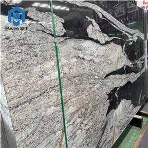 Brazil Black Quartzite With White Veins Slabs For Countertop