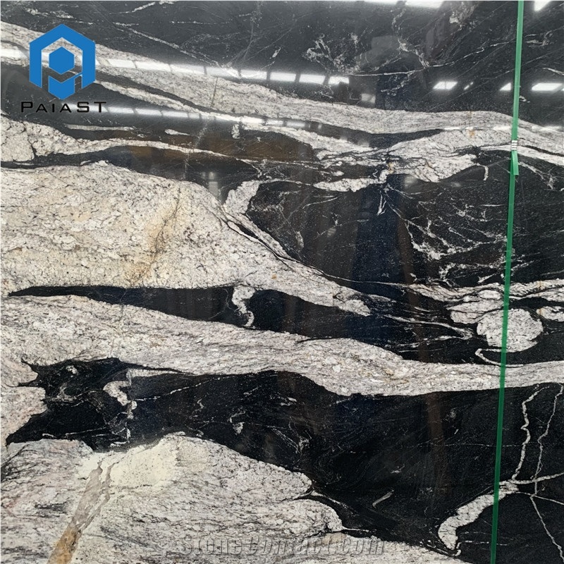 Brazil Black Quartzite With White Veins Slabs For Countertop