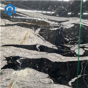 Brazil Black Quartzite With White Veins Slabs For Countertop