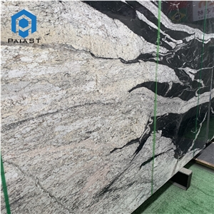 Brazil Black Quartzite With White Veins Slabs For Countertop