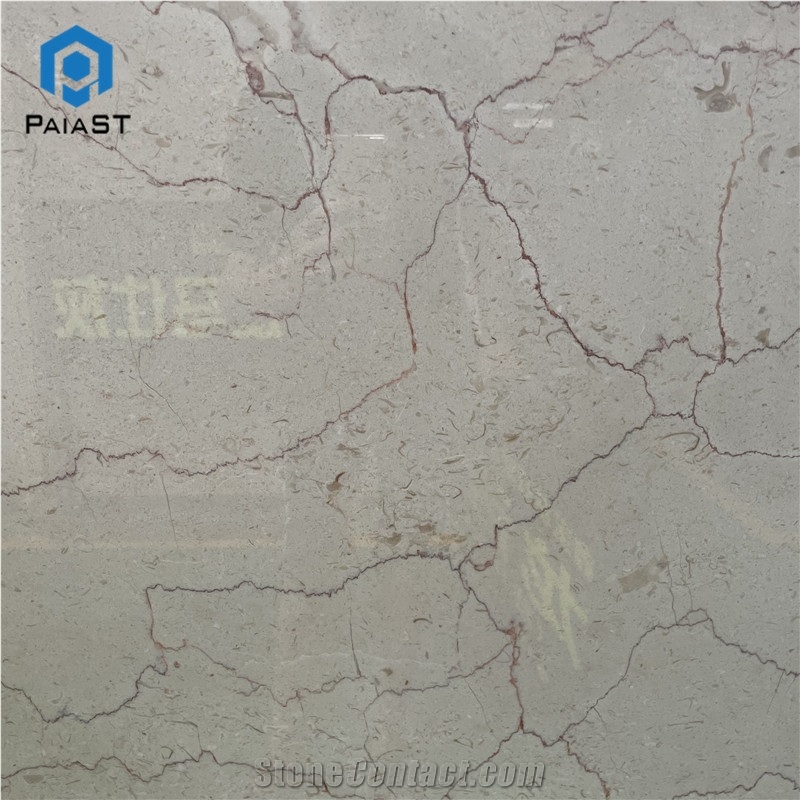 Shell Beige Marble Slab Home Interior Wall Floor Design
