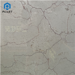 Shell Beige Marble Slab Home Interior Wall Floor Design