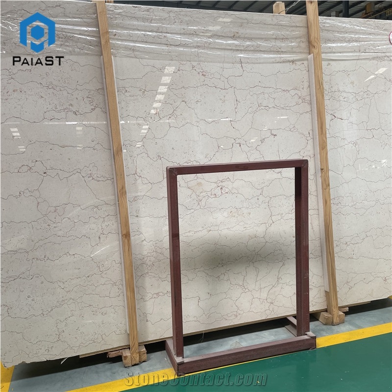 Shell Beige Marble Slab Home Interior Wall Floor Design