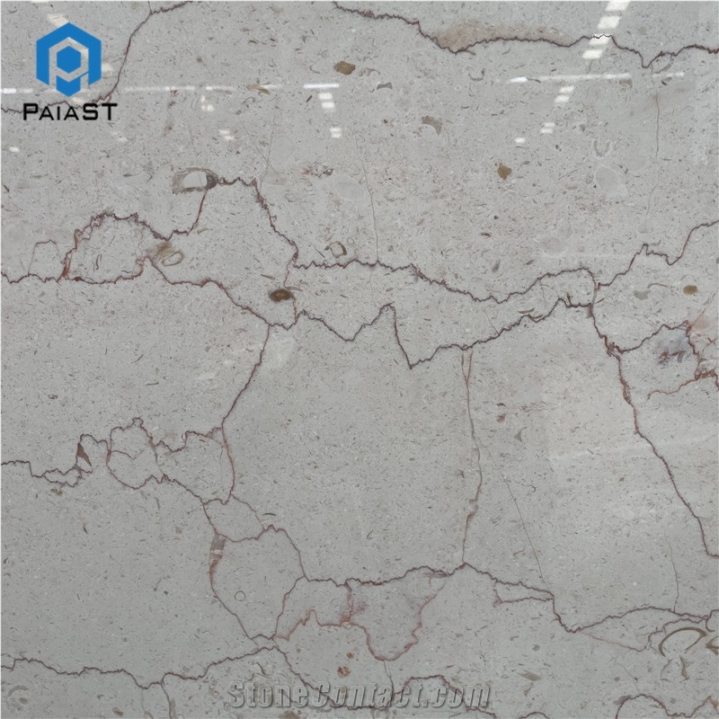 Shell Beige Marble Slab Home Interior Wall Floor Design