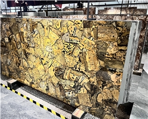 Yellow Fossil Quartz Semiprecious Slabs