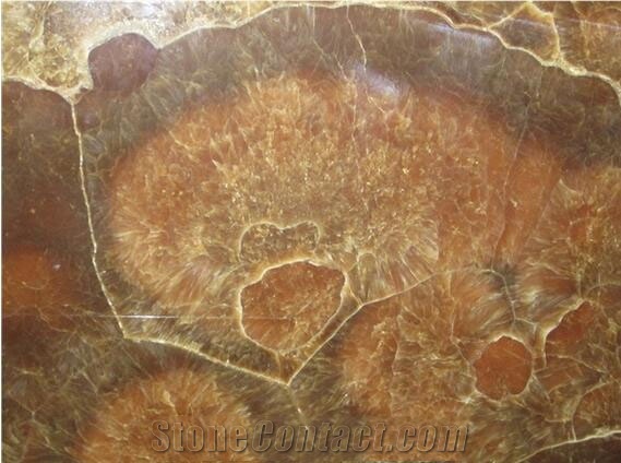 Brown Onyx Slab & Tile, China Brown Onyx
