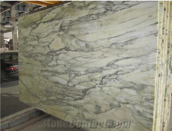 Calacatta Siena - Burma Marble Slab  China White Marble