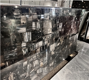 Luxury Black Pertirfy Wood Quartzite Slabs For Walling 