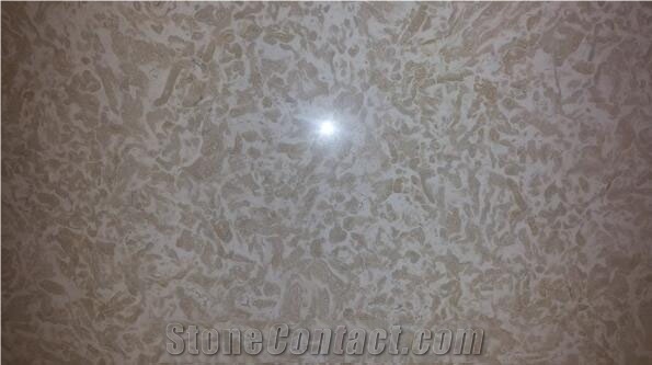 Tiger Beige Limestone Slabs & Tiles