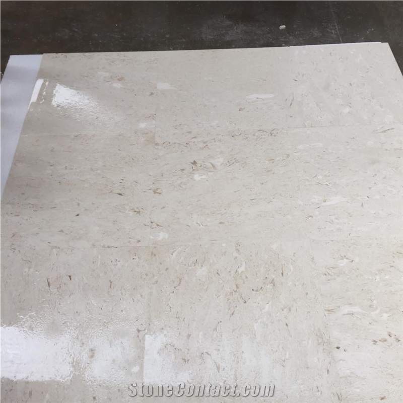 Shellstone Slabs, Tiles, Turkey White Limestone Tiles & Slabs