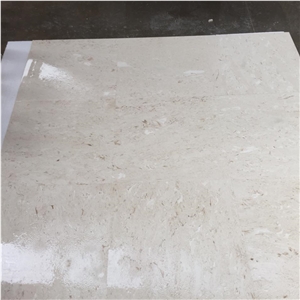Shellstone Slabs, Tiles, Turkey White Limestone Tiles & Slabs