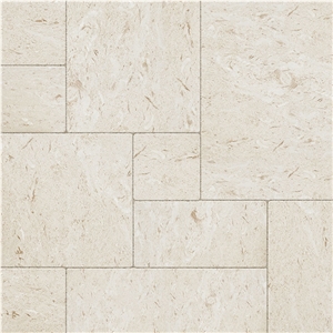 Shellstone Slabs, Tiles, Turkey White Limestone Tiles & Slabs