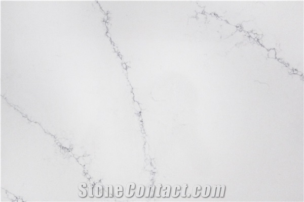 Calacatta Listra MS2011 Quartz Slabs