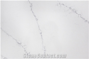 Calacatta Listra MS2011 Quartz Slabs