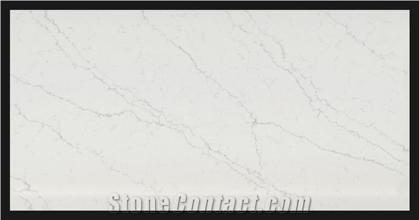 MS5015 Quartz Slab