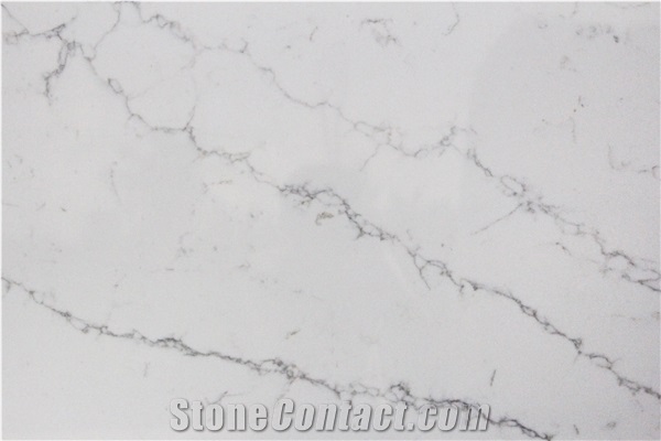 MS5015 Quartz Slab