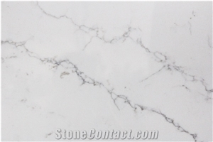 MS5015 Quartz Slab