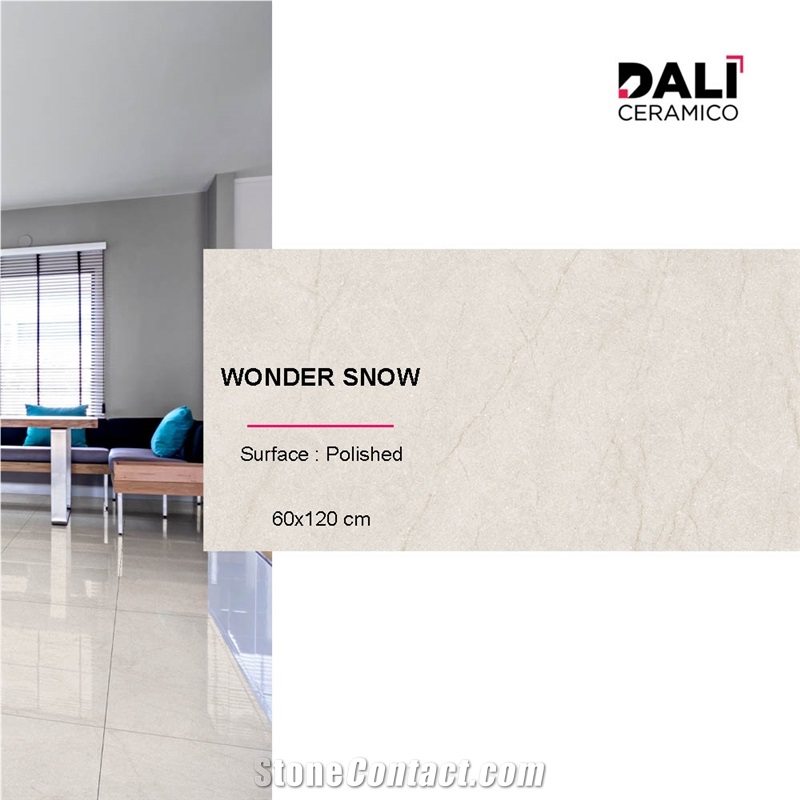 Wonder Snow Polished Porcelain Tiles