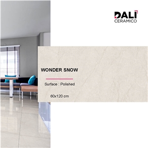 Wonder Snow Polished Porcelain Tiles