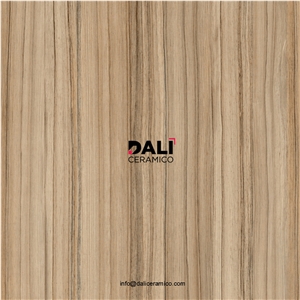 Carvista Mood Porcelain Tiles
