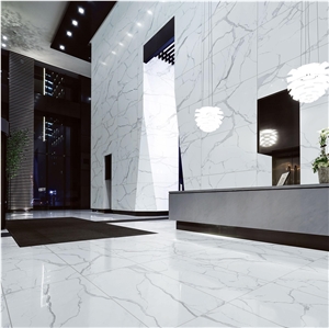 Panoramic Elemantal Statuario 64X127 12 Mm Porcelain Slab