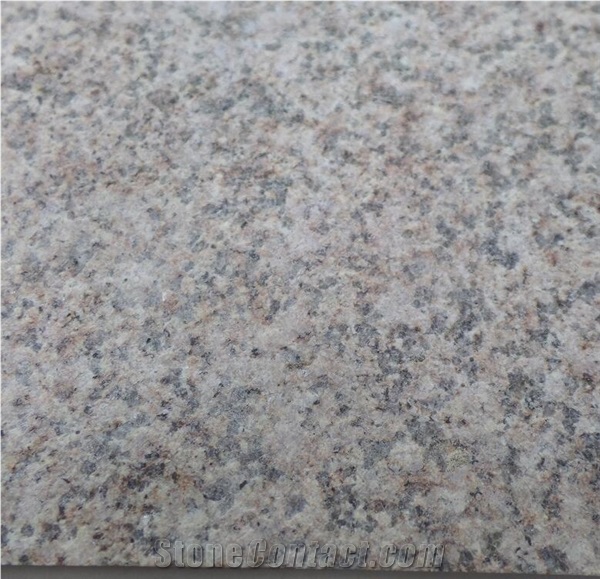 G682 Granite Golden Beach Granite Rusty Yellow Granite