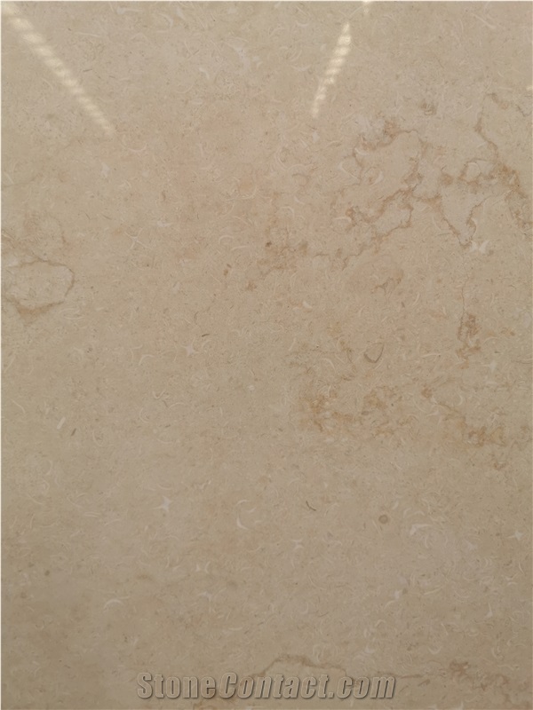 New Jura Beige Limestone Wall Tile Floor Tile Wall Cladding