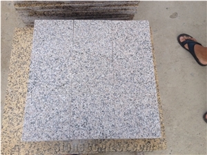 Yellow Rust Granite Rusty Yellow Golden Beach Granite Honed