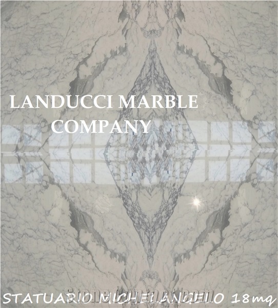 Statuario Venato Marble Slabs- Michelangelo Marble