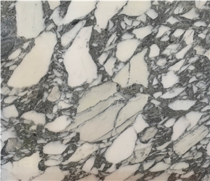 Italy Emporium Using Grey Veins White Arabescato Marble Slab
