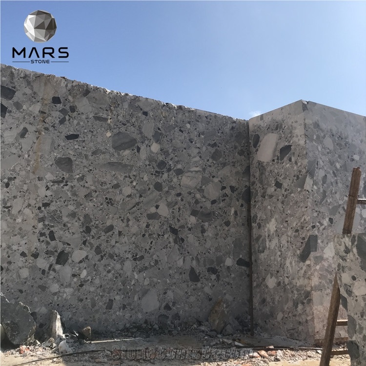 New Arrival China Cheap Special Natural Pewter Fossil Slabs