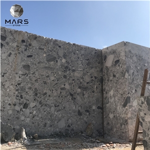 New Arrival China Cheap Special Natural Pewter Fossil Slabs