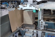 EASY LINE FV08- Sorting Machine With Wrap-Around Or Tray Packaging