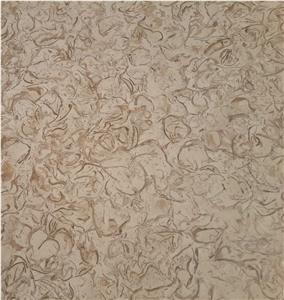 ATLAS BEIGE STONE Shells Reef Beige Limestone Slabs, Tiles