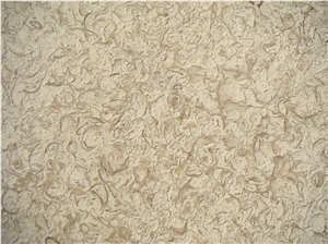 ATLAS BEIGE STONE Shells Reef Beige Limestone Slabs, Tiles