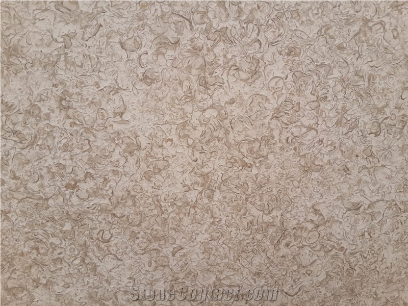 ATLAS BEIGE STONE Shells Reef Beige Limestone Slabs, Tiles