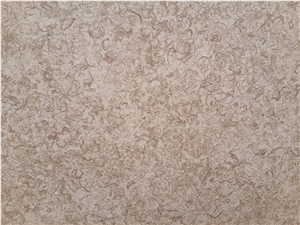 ATLAS BEIGE STONE Shells Reef Beige Limestone Slabs, Tiles