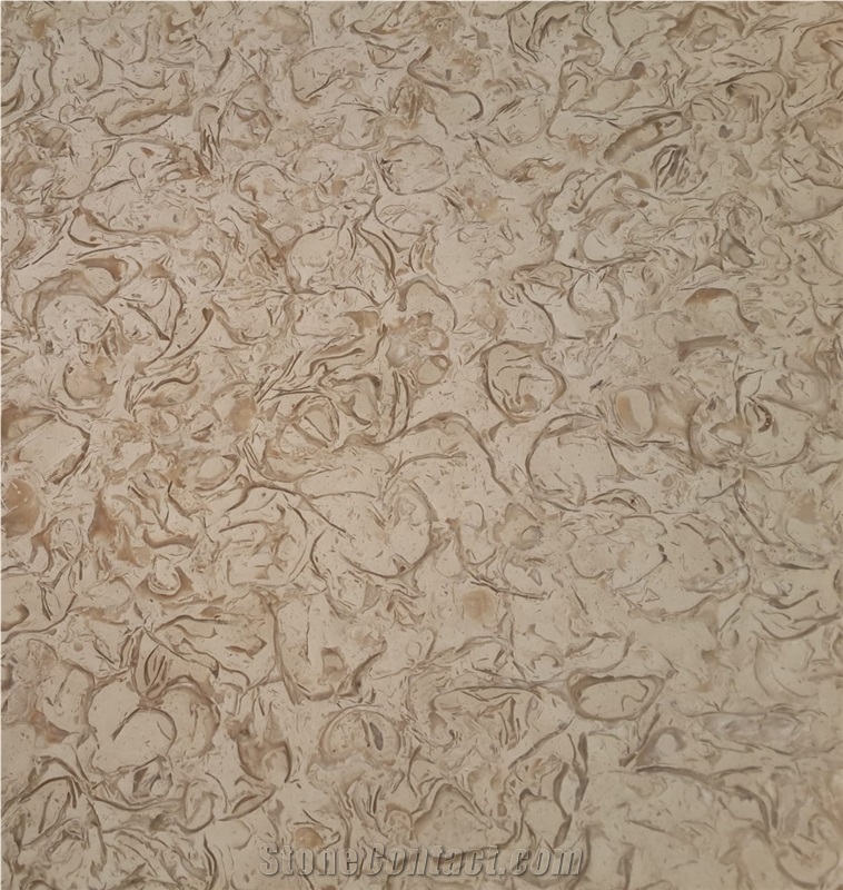 ATLAS BEIGE STONE Shells Reef Beige Limestone Slabs, Tiles