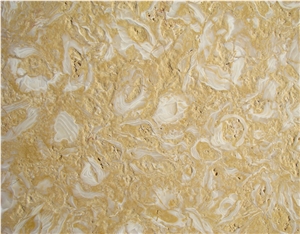 ATLAS GOLD- Shells Reef Gold Limestone