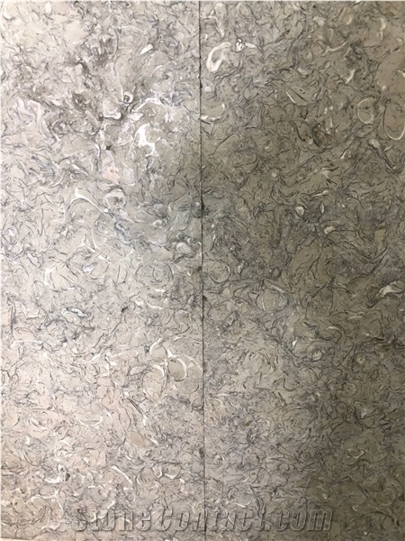 Atlas Green Shell Limestone Tiles, Shells Reef Green Slabs