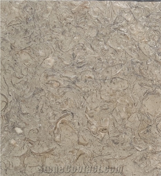 Atlas Green Shell Limestone Tiles, Shells Reef Green Slabs