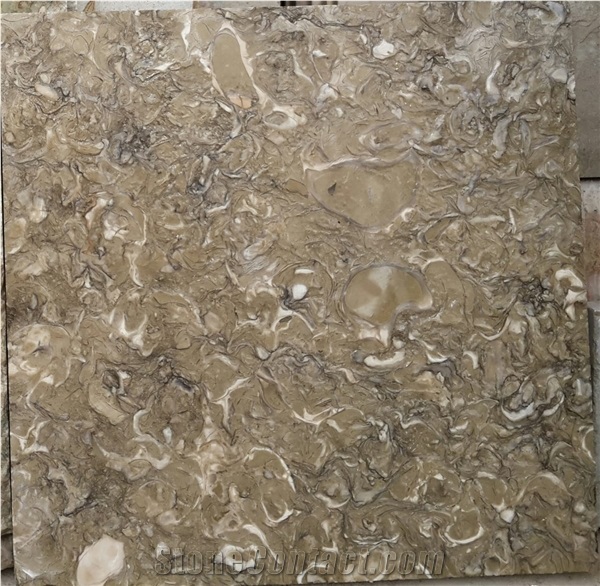 Atlas Green Shell Limestone Tiles, Shells Reef Green Slabs