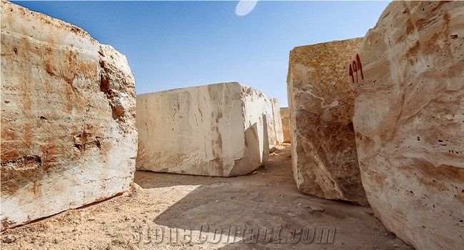 Brown Traonyx Blocks