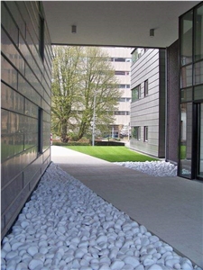 Pebble Stone White Color